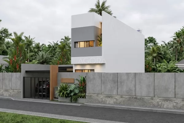 Desain Rumah Industrial Minimalis