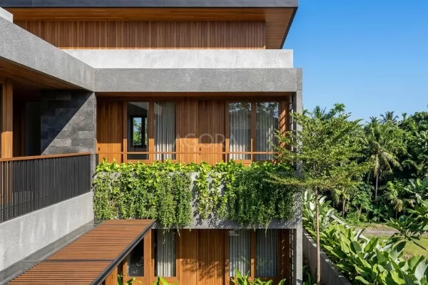 Guest House Modern Tropis