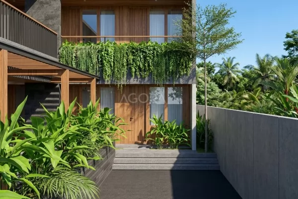 Guest House Modern Tropis