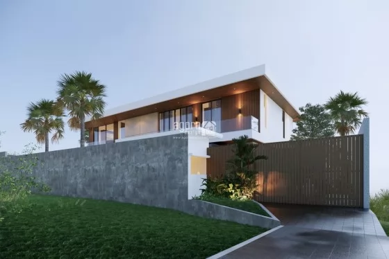 Desain Villa Modern